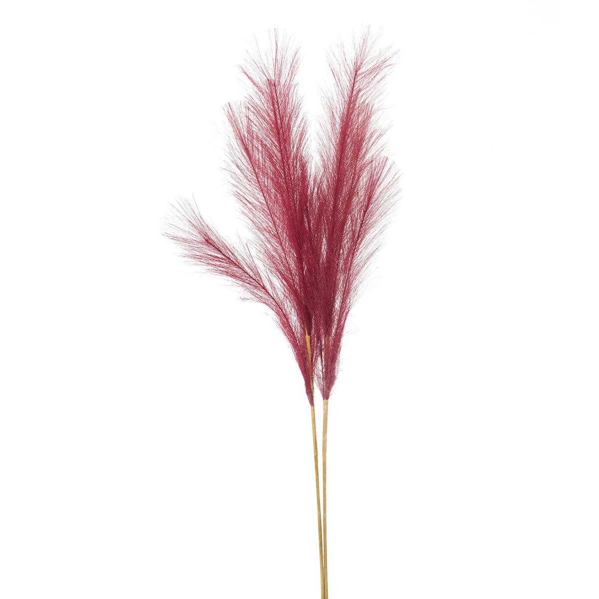 Scarlet Faux Pampas Grass Stem – Furniture Boulevard Nottingham