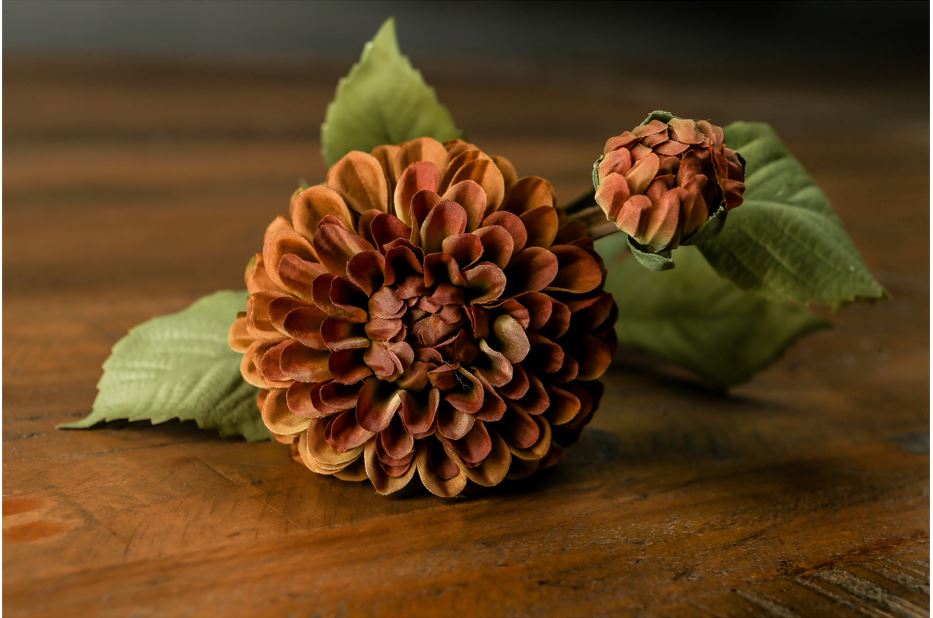 Deep Dahlia Stem & Mustard & Purple