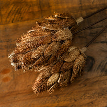 Load image into Gallery viewer, Bouquet Of Dried Protea

