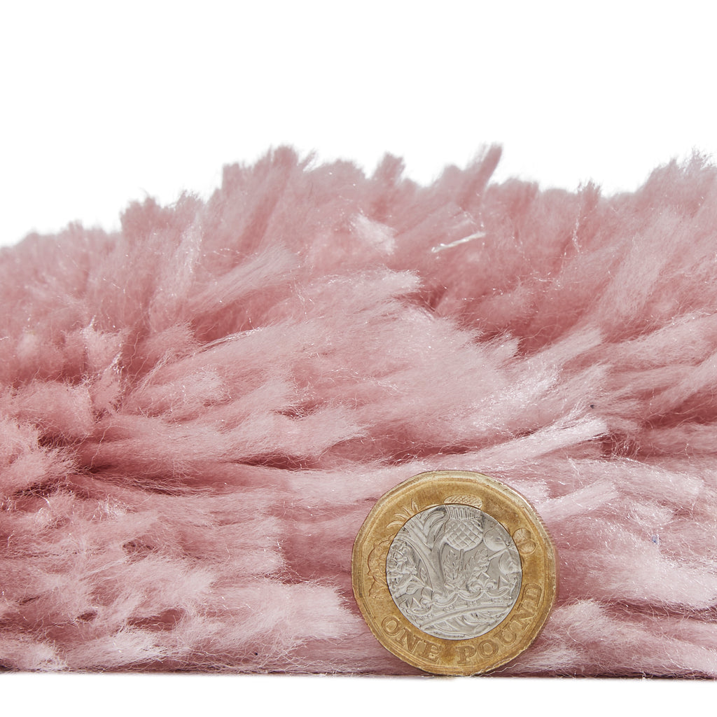 Polar (Rose)