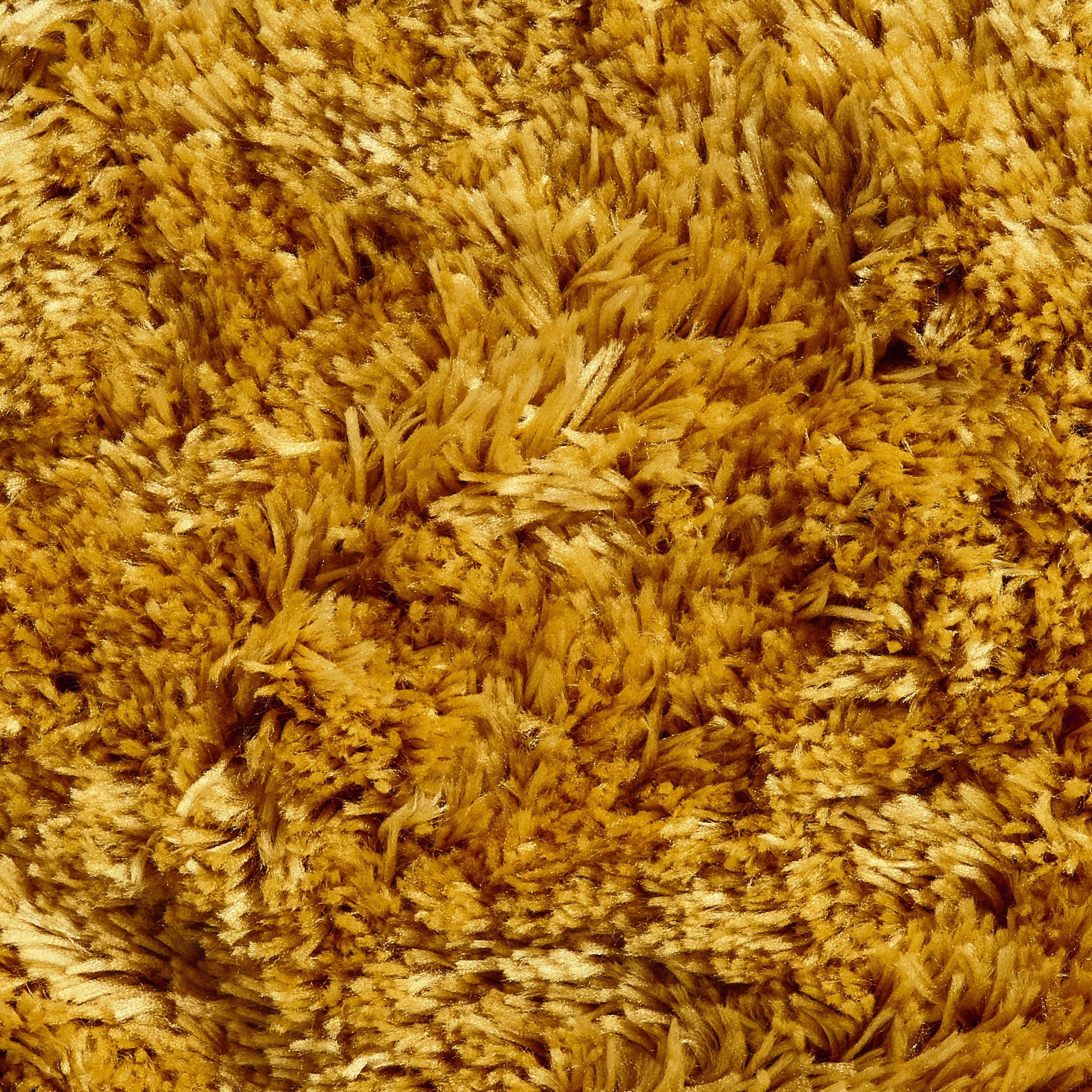 Polar (Yellow)