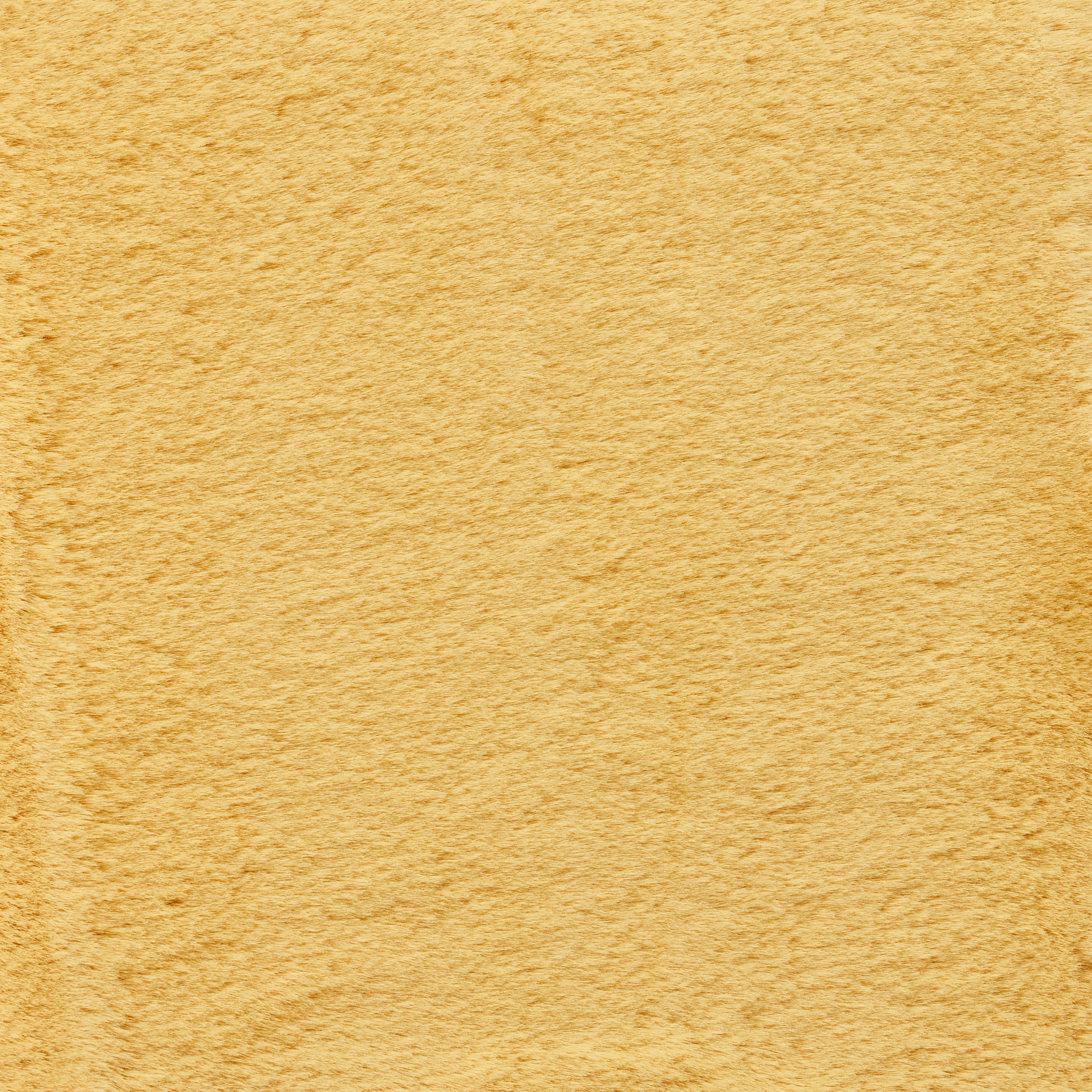 Teddy (Yellow)